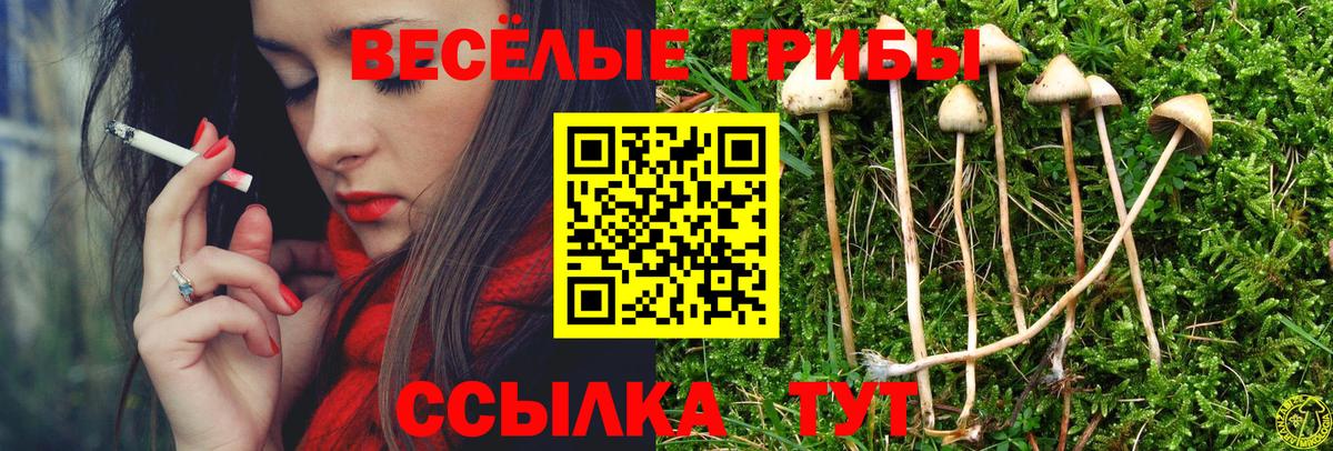 Псилоцибиновые грибы прущие грибы Дальнереченск